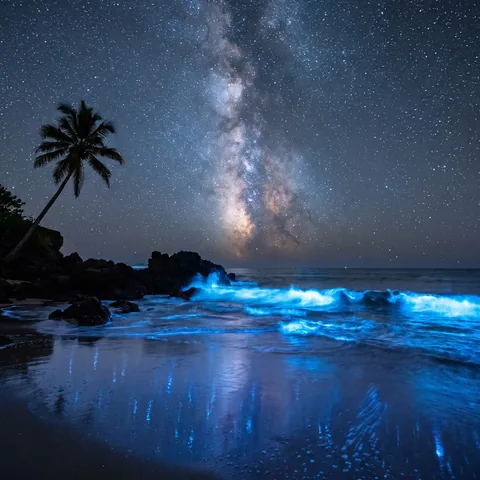 Electric blue bioluminescent waves break on a dark tropical beach under the Milky Way, long exposure night photograph.